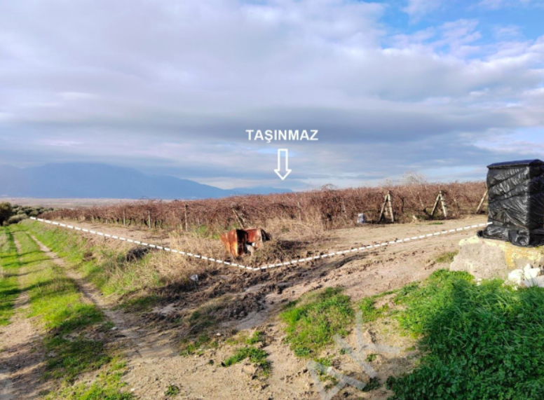 MANİSA SARUHANLI'DA 10.229 M2 SATILIK TARLA (101196456)